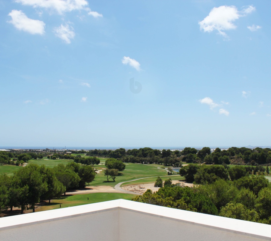 Pinar de Campoverde, Pinar de Campoverde, Comunidad Valenciana, 0 , 3 Habitaciones Habitaciones,2 BathroomsBathrooms,Planta baja,Comprar,Pinar de Campoverde,0,1904