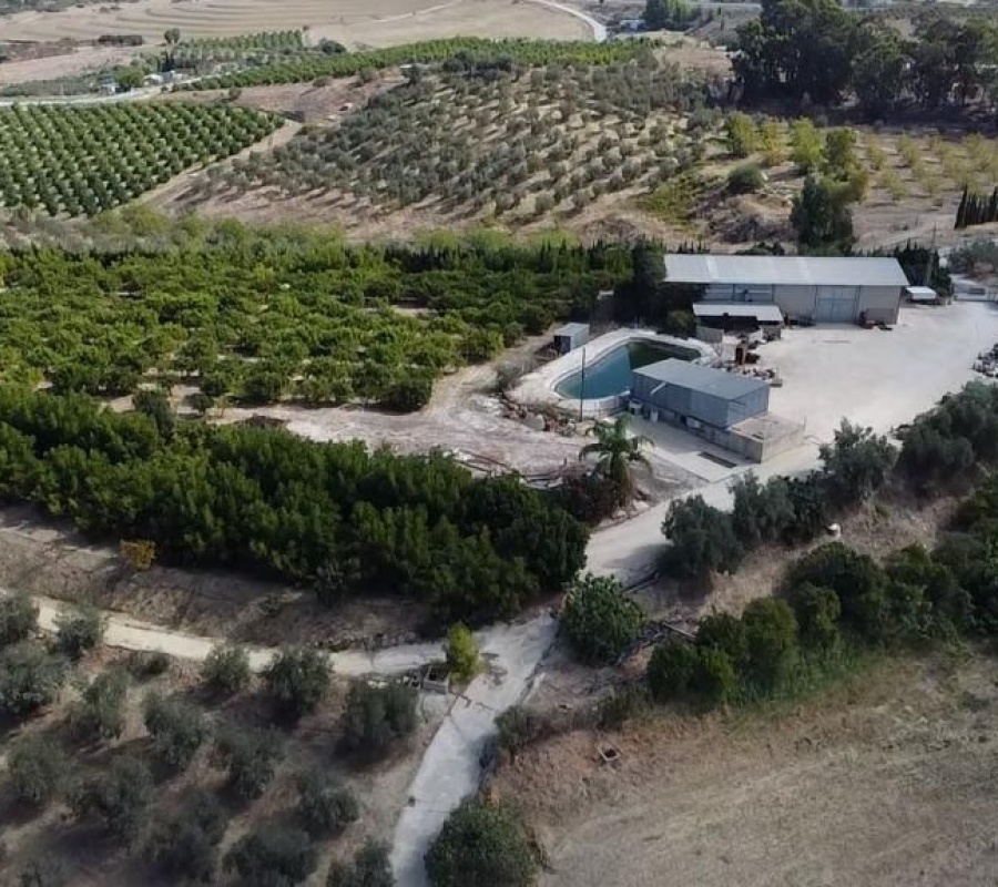 Alhaurín el Grande, Andalucía, ,Casa,Comprar,1086