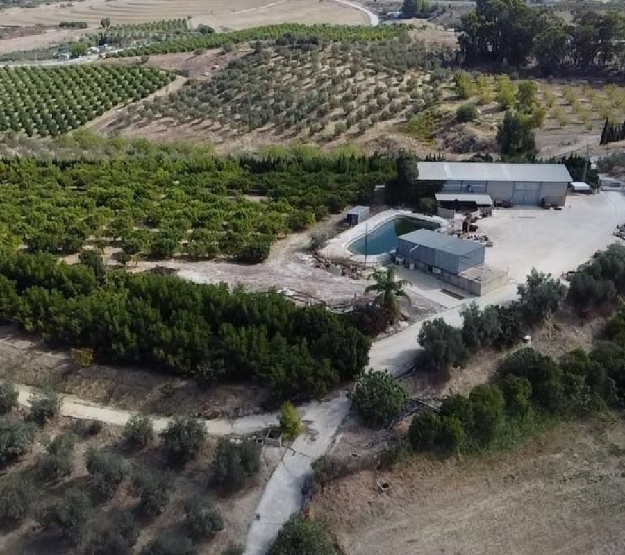 Alhaurín el Grande, Andalucía, ,Casa,Comprar,1086