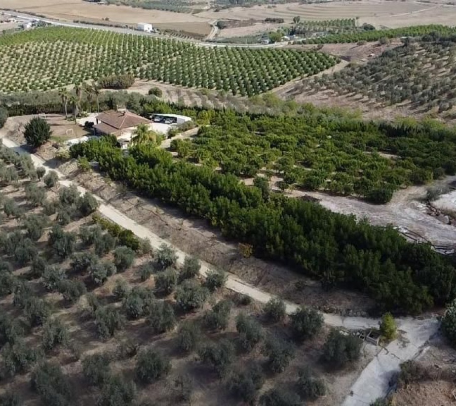 Alhaurín el Grande, Andalucía, ,Casa,Comprar,1086