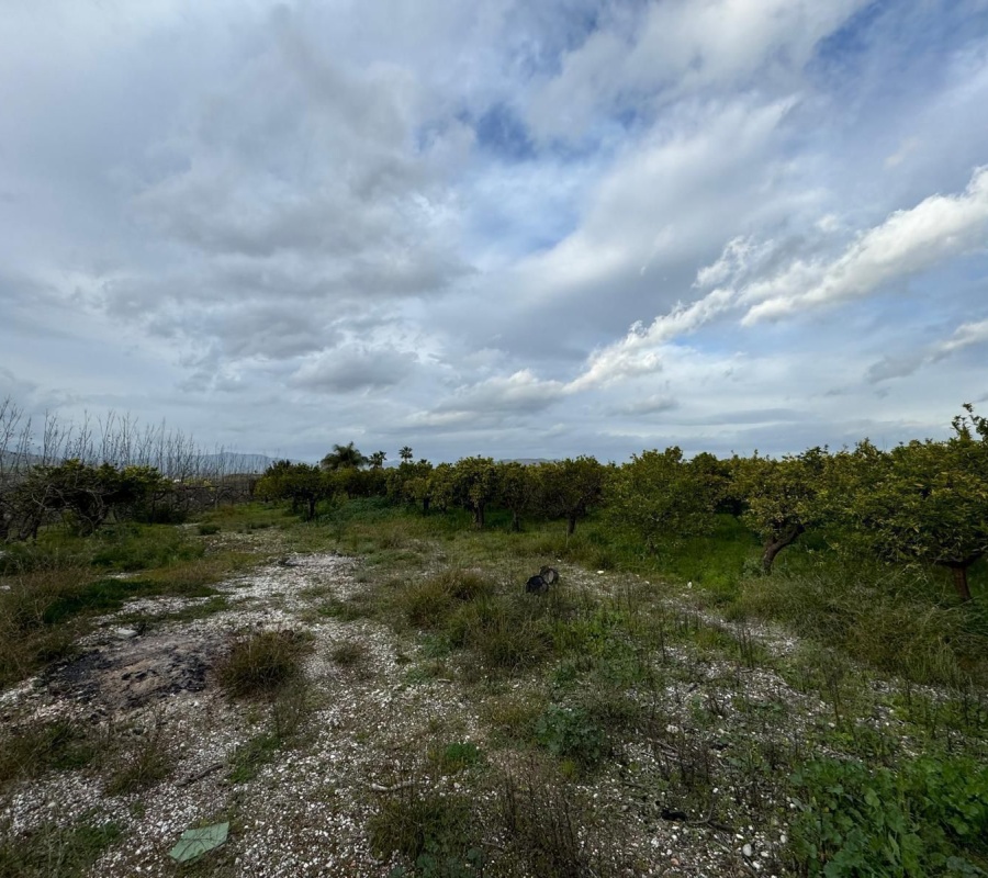 Alhaurín el Grande, Andalucía, ,Casa,Comprar,1086