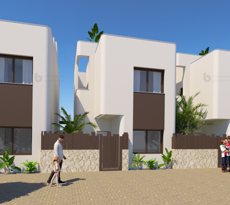 Mil Palmeras, Alicante, Comunidad Valenciana, España, 0 , 3 Habitaciones Habitaciones,3 BathroomsBathrooms,Villa,Comprar,Calle Río Genil M P, 21,0,1948