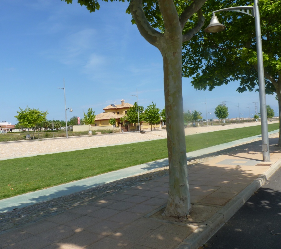 Calle Canal Tajo-Segura, 9, Pilar de la Horadada, Comunidad Valenciana, 0 , 3 Habitaciones Habitaciones,2 BathroomsBathrooms,Bungalow planta alta,Comprar,Calle Canal Tajo-Segura, 9,0,2180