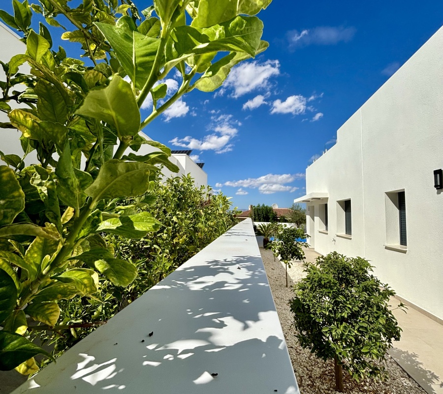 Calle Goya, 121, Benijófar, Comunidad Valenciana, 0 , 3 Habitaciones Habitaciones,2 BathroomsBathrooms,Chalet,Comprar,Calle Goya, 121,0,2380