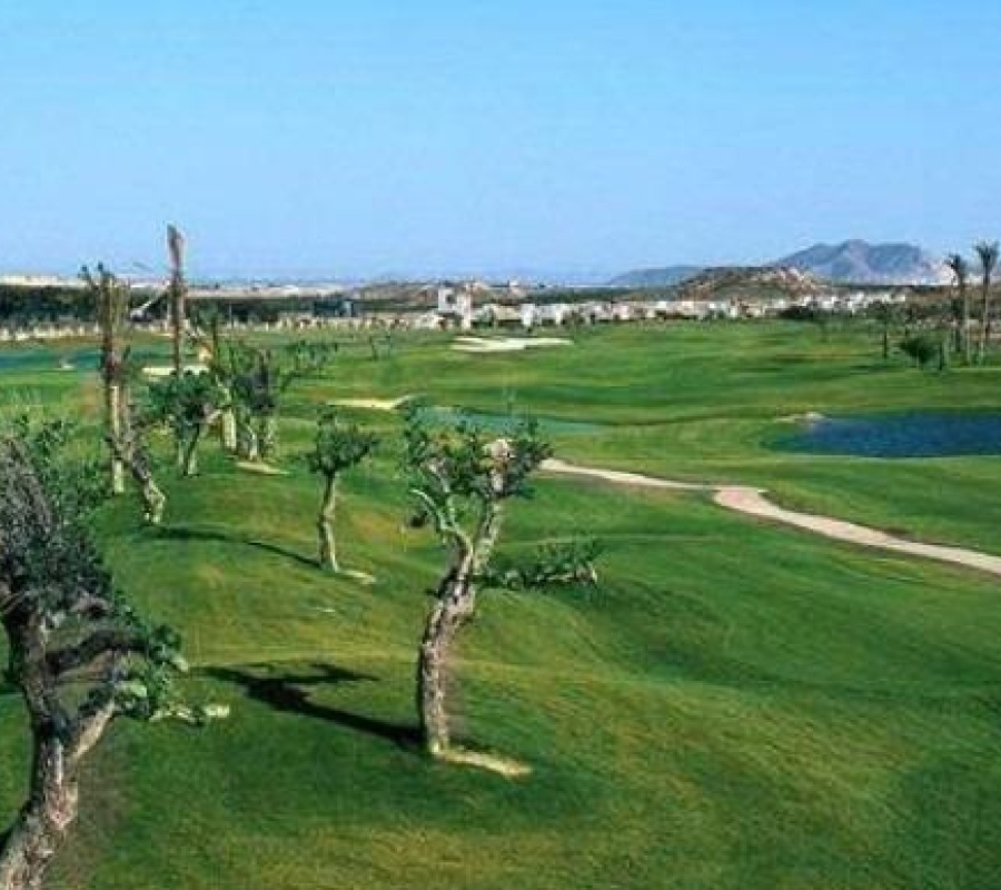 Calle Peraleja Vial 2, 1104, Peraleja Golf, Región de Murcia, 0 , 2 Habitaciones Habitaciones,2 BathroomsBathrooms,Adosado,Comprar,Calle Peraleja Vial 2, 1104,0,2416