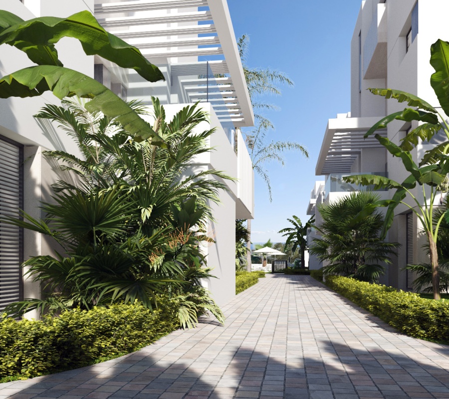 Calle 1 Pp.sta.rosalia, 3, Santa Rosalía, Región de Murcia, 0 , 3 Habitaciones Habitaciones,2 BathroomsBathrooms,Ático,Comprar,Calle 1 Pp.sta.rosalia, 3,0,2449