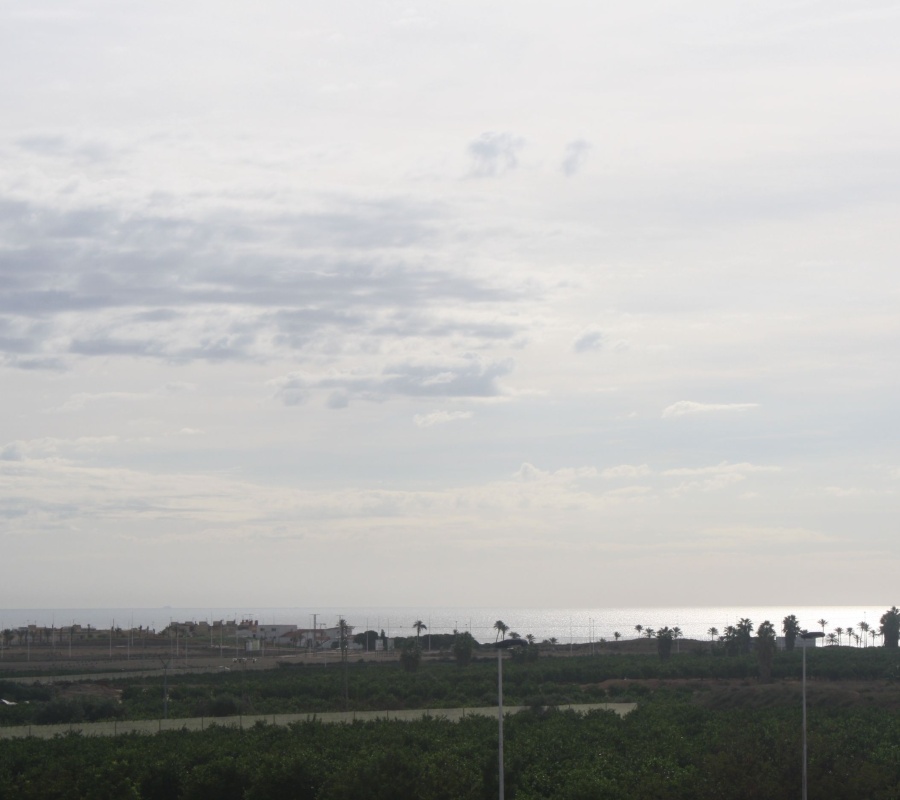 Torrevieja, Alicante, Comunidad Valenciana, España, 0 , 2 Habitaciones Habitaciones,2 BathroomsBathrooms,Pareado,Comprar,Calle Veleta, 11V,0,2561