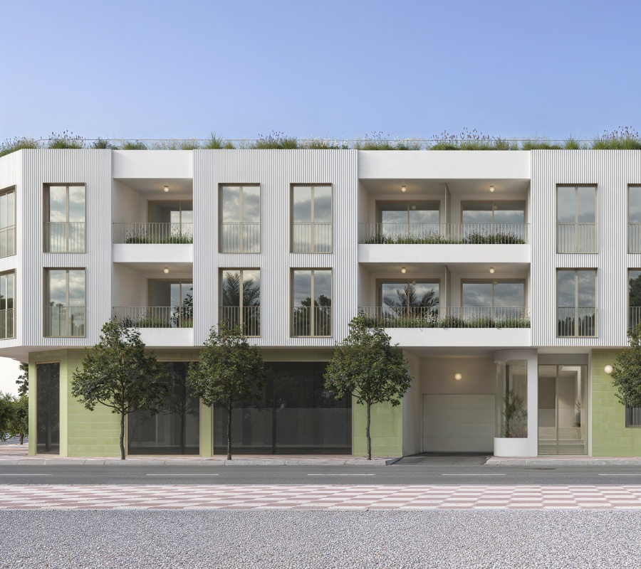 Avenida de la Paz, 83, Jacarilla, Comunidad Valenciana, 0 , 3 Habitaciones Habitaciones,2 BathroomsBathrooms,Planta baja,Comprar,Avenida de la Paz, 83,0,2640