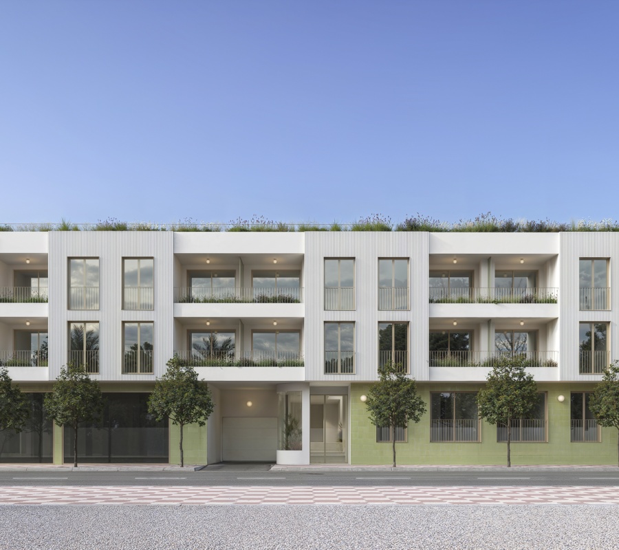 Avenida de la Paz, 83, Jacarilla, Comunidad Valenciana, 0 , 3 Habitaciones Habitaciones,2 BathroomsBathrooms,Planta baja,Comprar,Avenida de la Paz, 83,0,2640