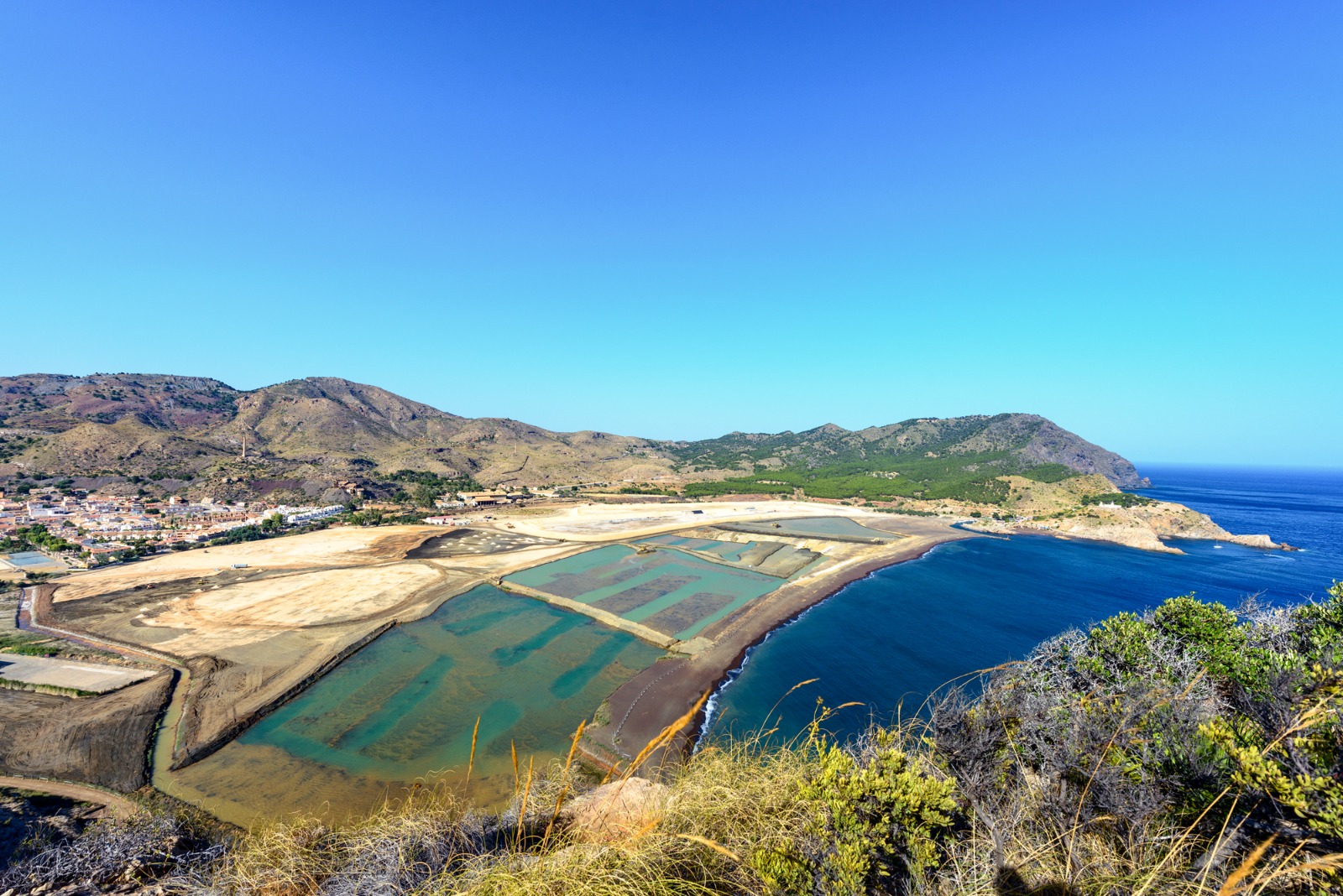 ...