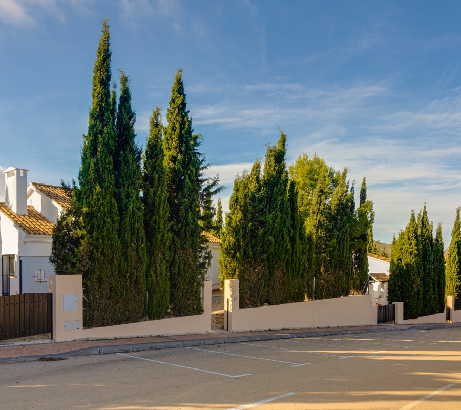 Fuente Alamo, Murcia, Región de Murcia, España, 0 , 3 Habitaciones Habitaciones,2 BathroomsBathrooms,Chalet,Comprar,Paseo de el Garrobico, 14,0,1112