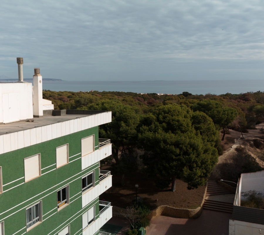 Guardamar del Segura, Alicante, Comunidad Valenciana, España, 0 , 1 Habitación Habitaciones,1 BañoBathrooms,Planta baja,Comprar,Carrer Colon, 2,0,1250