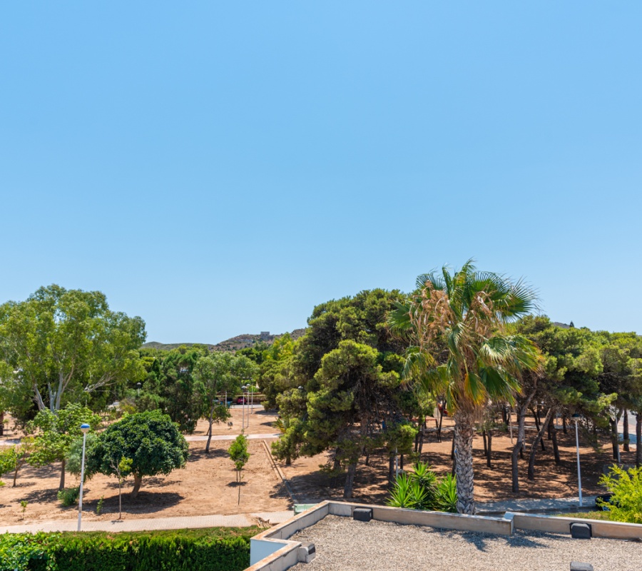 Playa Paraiso, Murcia, Región de Murcia, España, 0 , 4 Habitaciones Habitaciones,3 BathroomsBathrooms,Chalet,Comprar,P.ho, 45,0,1495