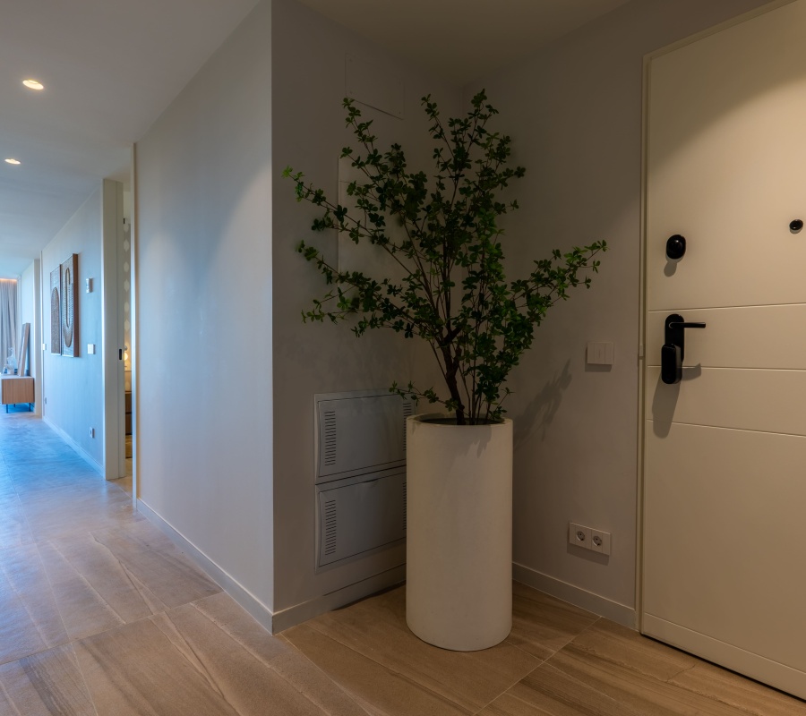 Carrer Colon, 20, Guardamar del Segura, Comunidad Valenciana, 0 , 3 Habitaciones Habitaciones,2 BathroomsBathrooms,Ático,Comprar,Carrer Colon, 20,0,1680